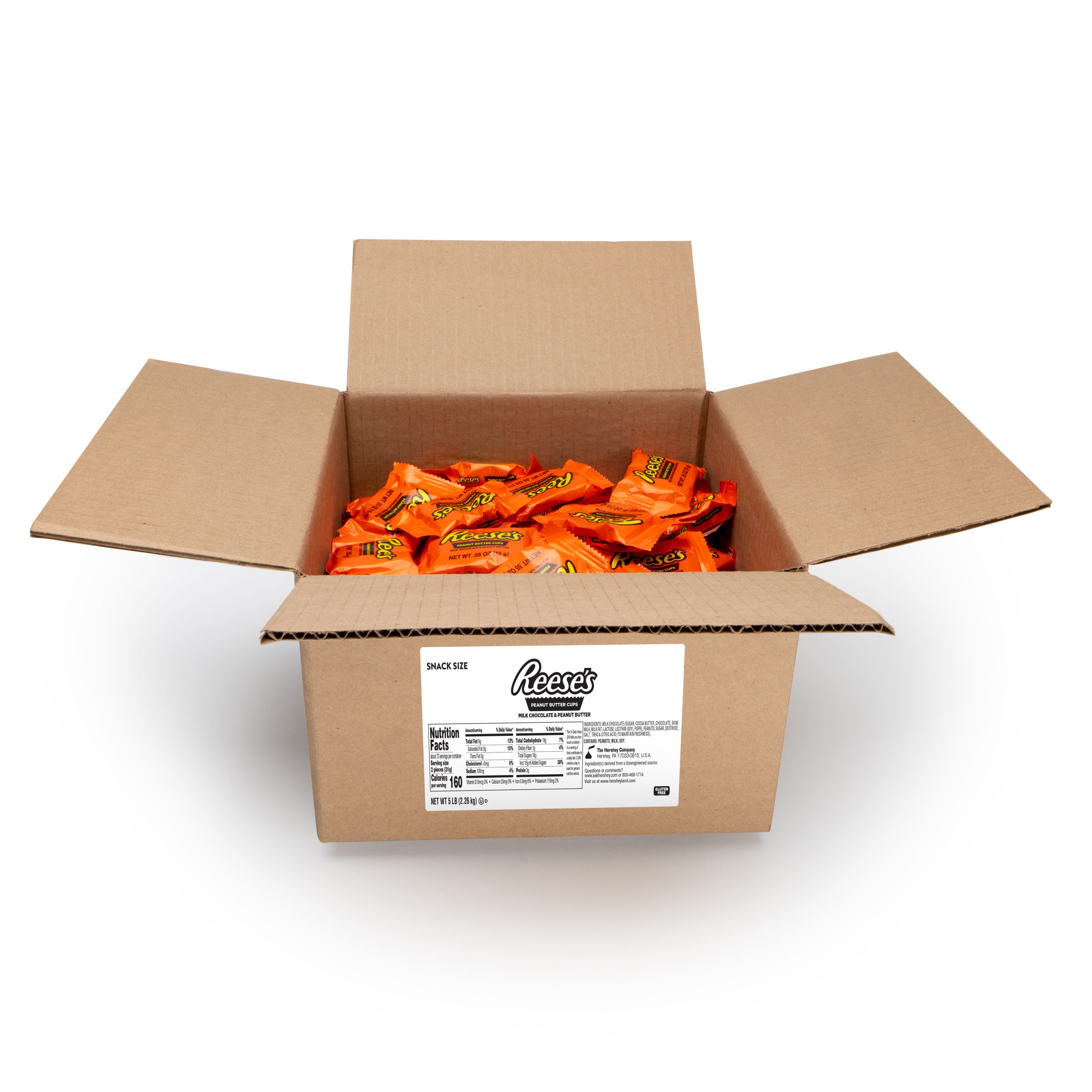 REESE’S Peanut Butter Cups Snack Size 5 lbs. Bulk Candy Box - THE HERSHEY COMPANY